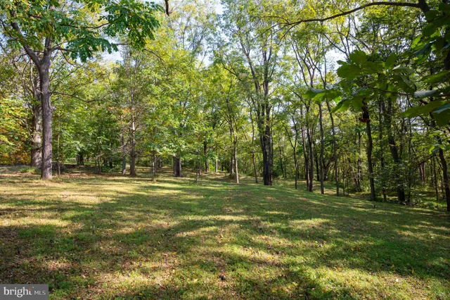 a view of a dry yard with wooden fence
