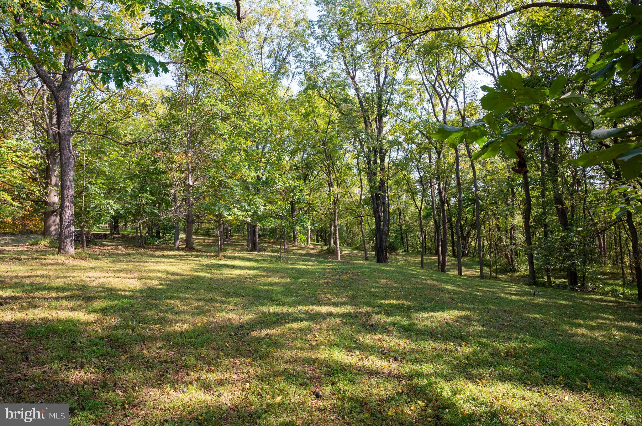 364 Knott Road Shepherdstown, WV 25443 - Photo 49 of 66 a view of a grassy field with trees