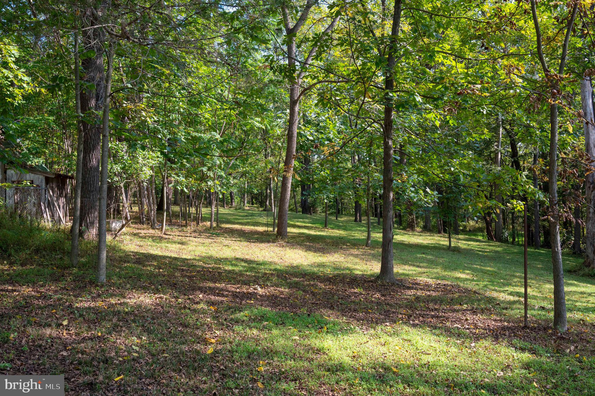 364 Knott Road Shepherdstown, WV 25443 - Photo 50 of 66