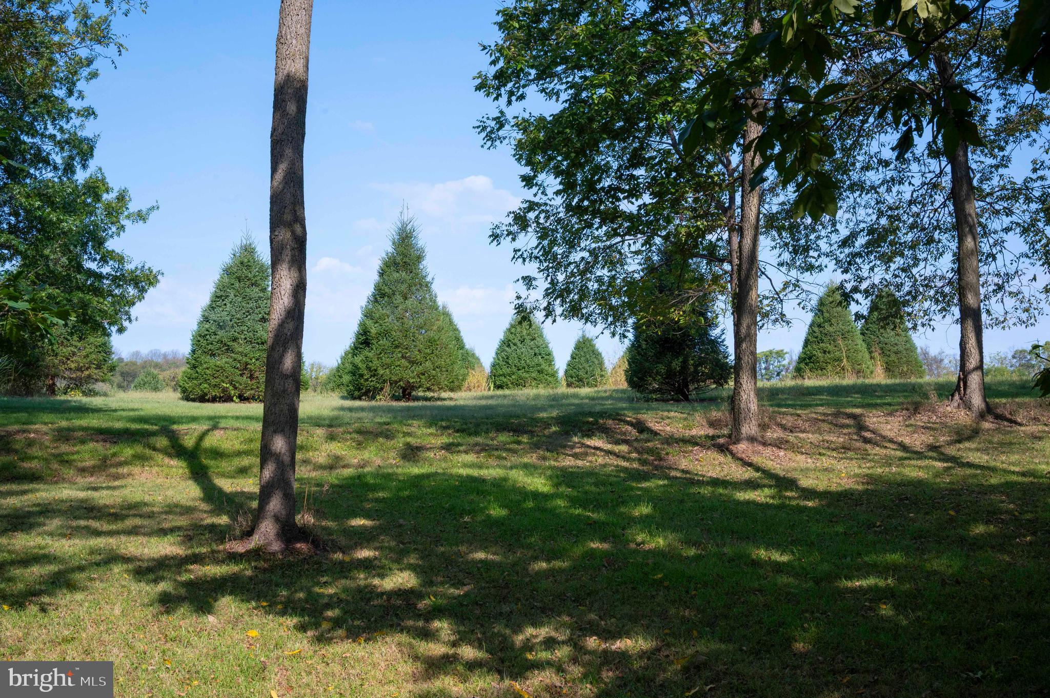 364 Knott Road Shepherdstown, WV 25443 - Photo 59 of 66 a view of a park