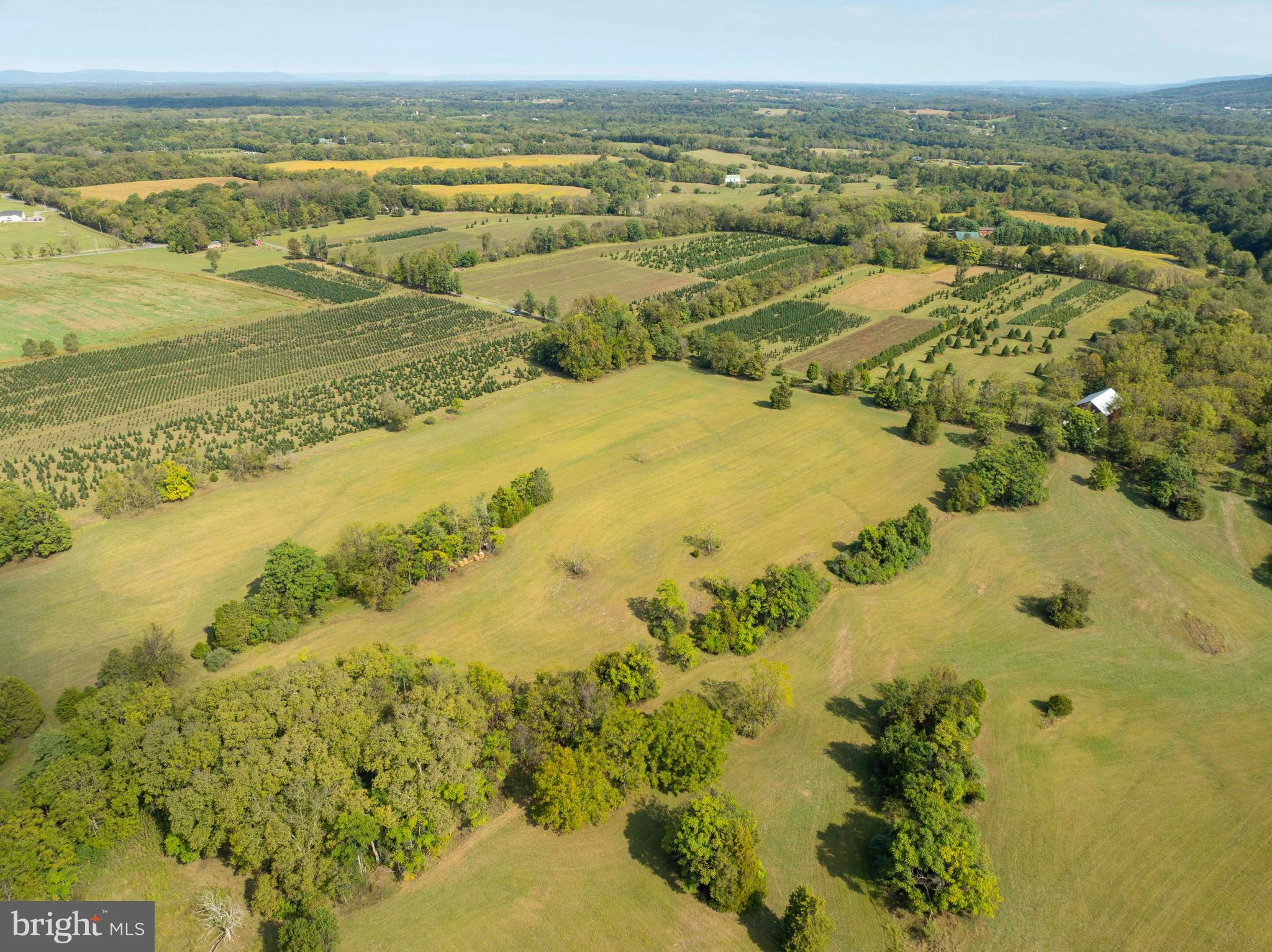 364 Knott Road Shepherdstown, WV 25443 - Photo 6 of 66