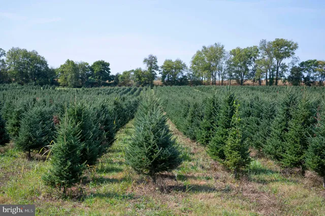 $1,199,000 | 364 Knott Road, Shepherdstown, WV 25443