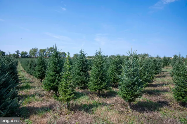 $1,199,000 | 364 Knott Road, Shepherdstown, WV 25443