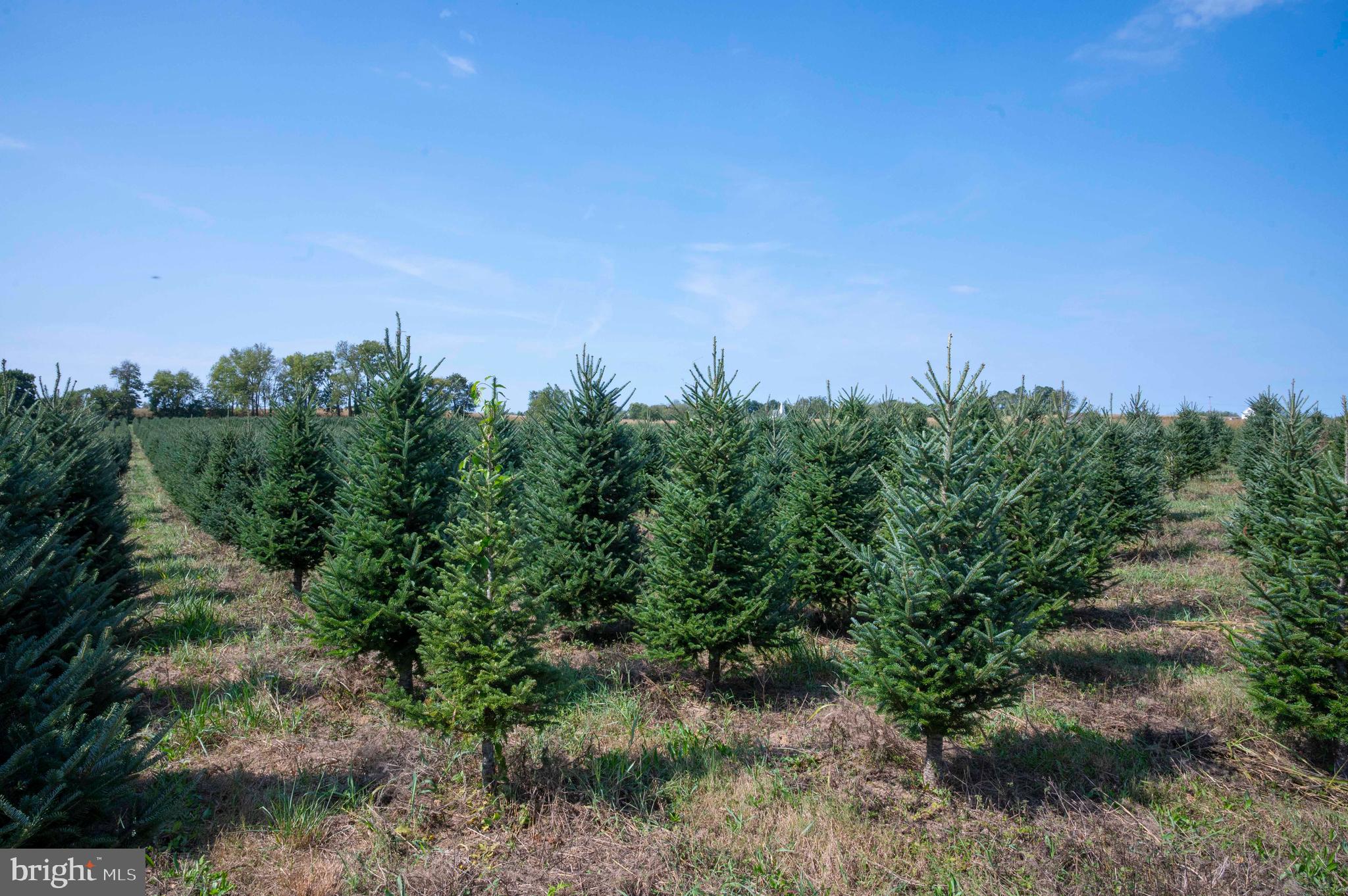 364 Knott Road Shepherdstown, WV 25443 - Photo 63 of 66 a view of a city