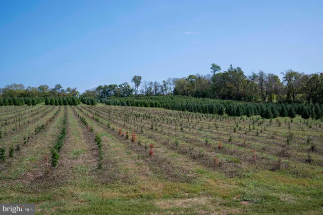 $1,199,000 | 364 Knott Road, Shepherdstown, WV 25443