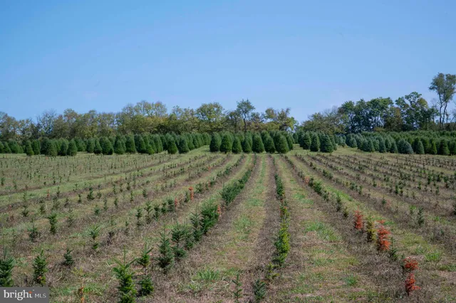 $1,199,000 | 364 Knott Road, Shepherdstown, WV 25443