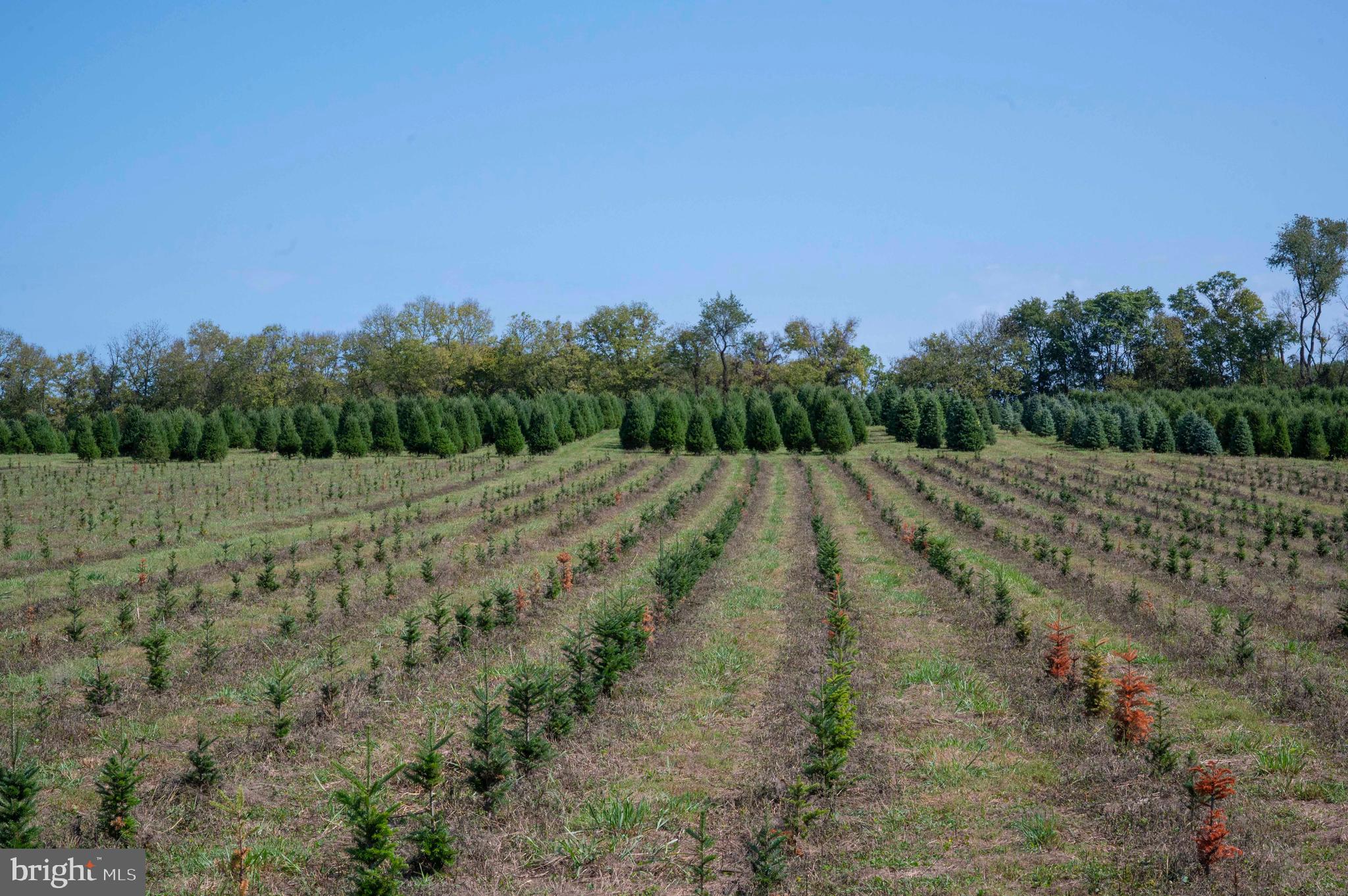 364 Knott Road Shepherdstown, WV 25443 - Photo 66 of 66 a view of a field