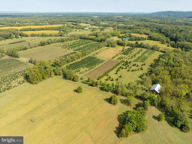 a view of an ocean and a mountain