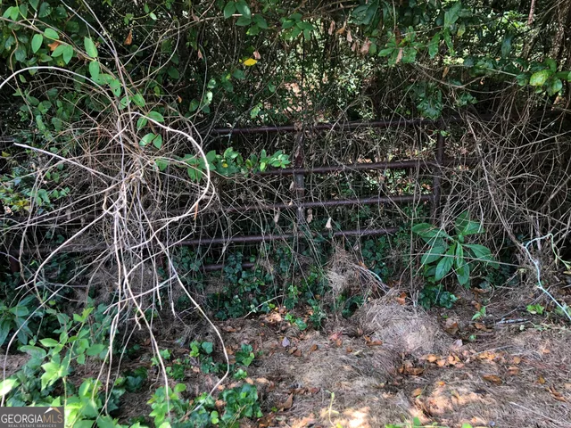 $28,000 | 0 Moreland Avenue, Toccoa, GA 30577