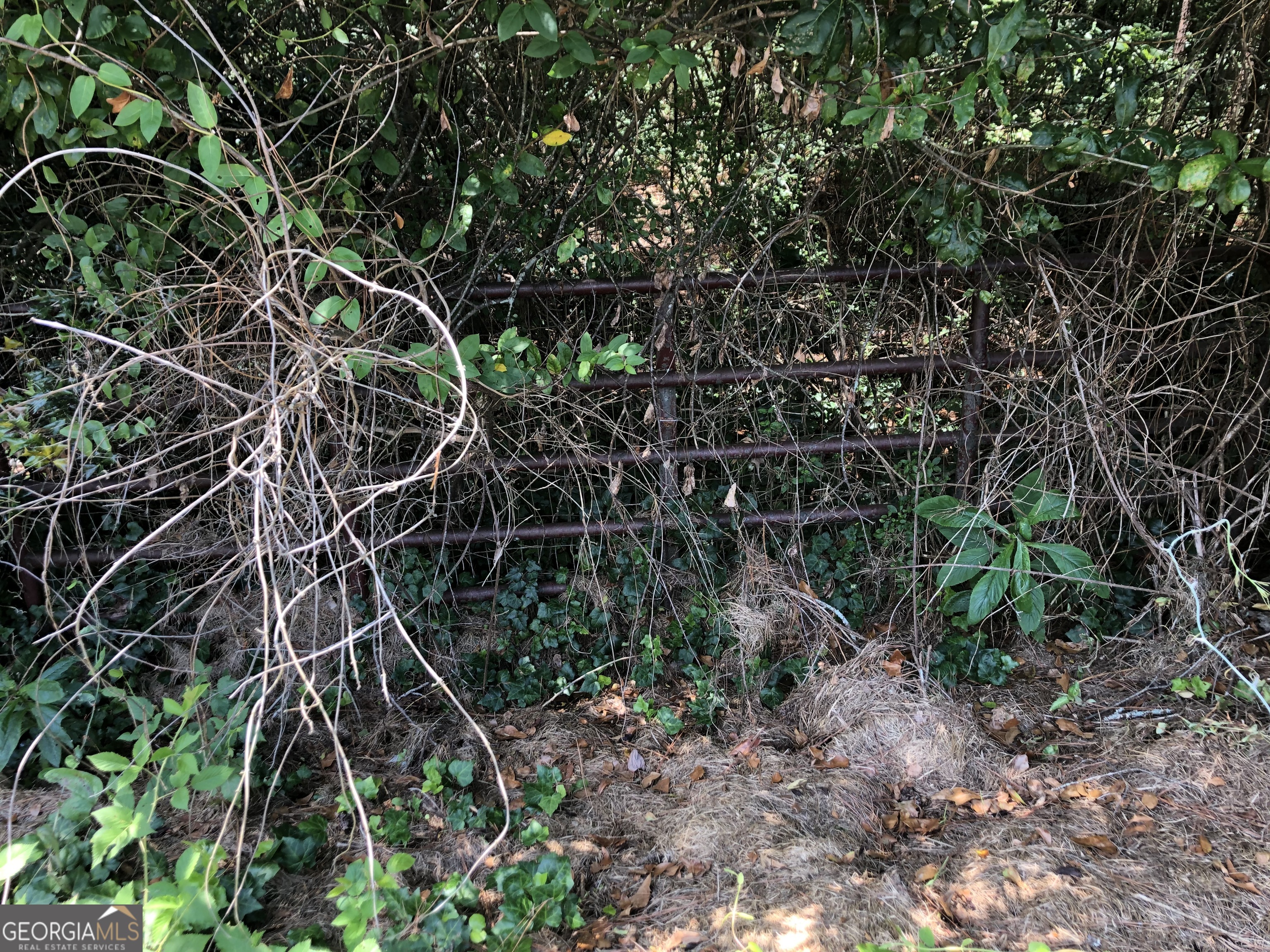 0 Moreland Avenue Toccoa, GA 30577 - Photo 1 of 6