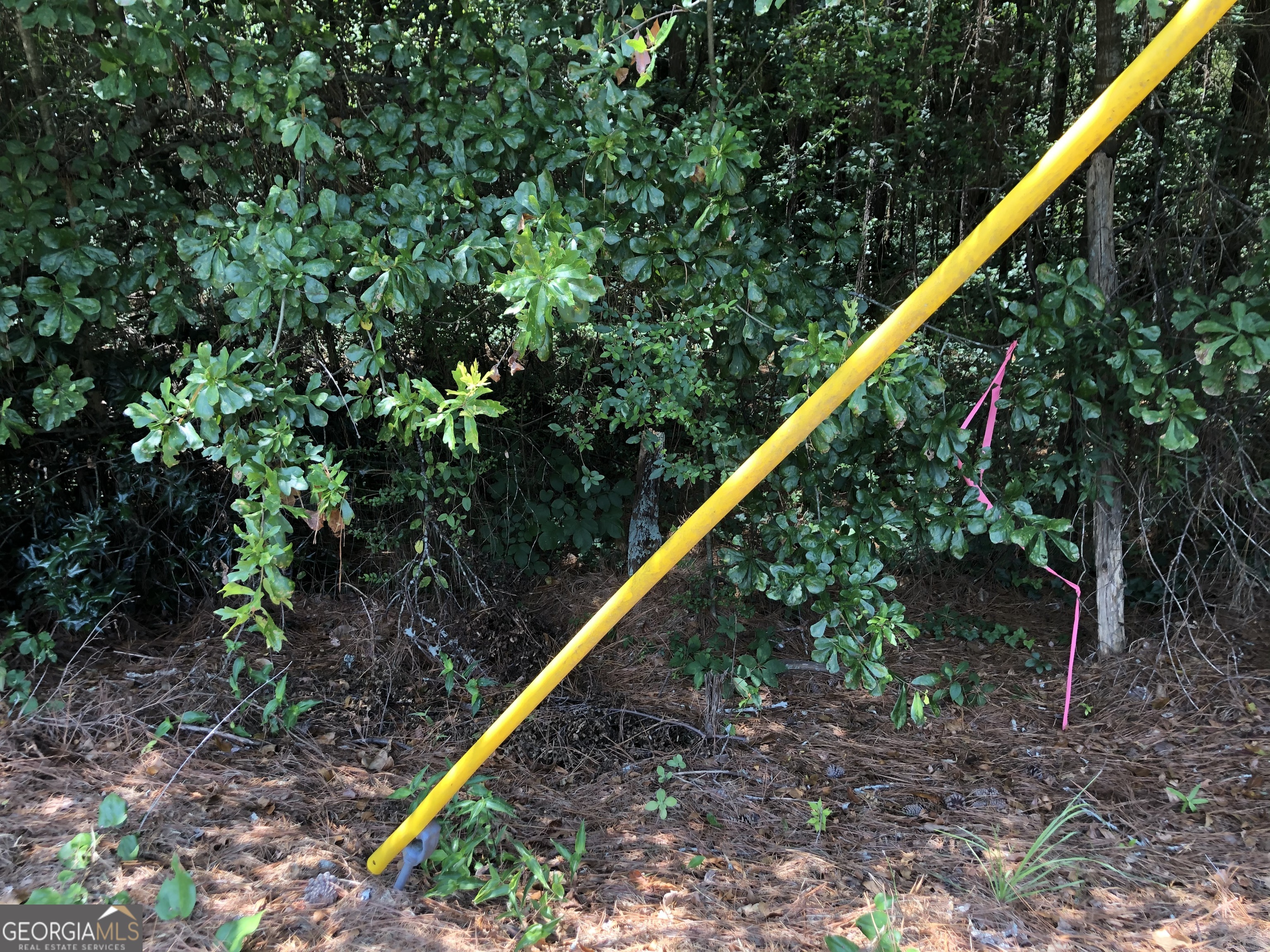 0 Moreland Avenue Toccoa, GA 30577 - Photo 2 of 6