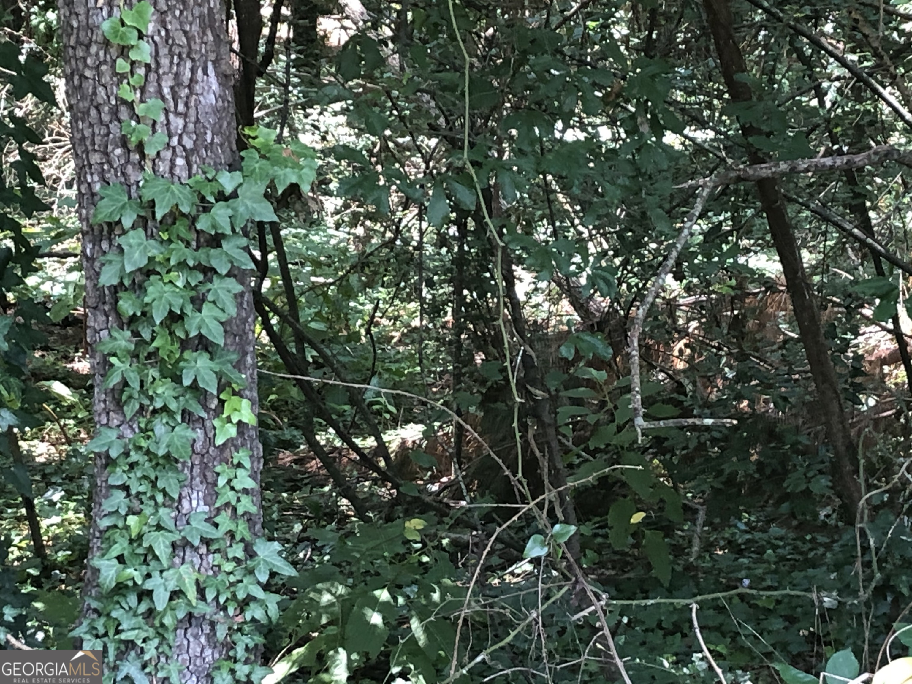 0 Moreland Avenue Toccoa, GA 30577 - Photo 3 of 6