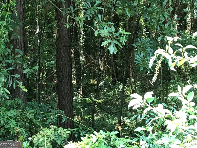 $28,000 | 0 Moreland Avenue, Toccoa, GA 30577