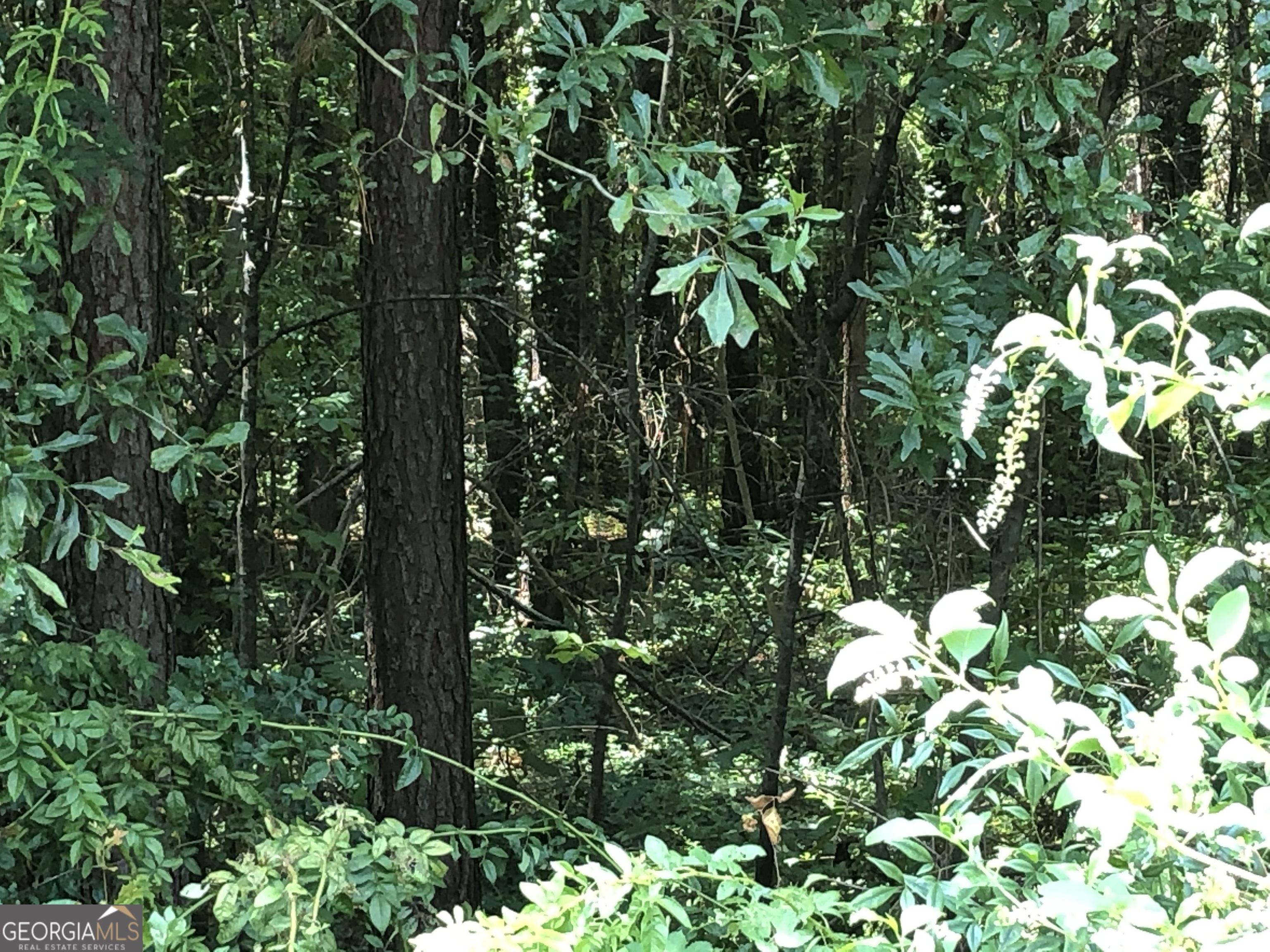 0 Moreland Avenue Toccoa, GA 30577 - Photo 4 of 6