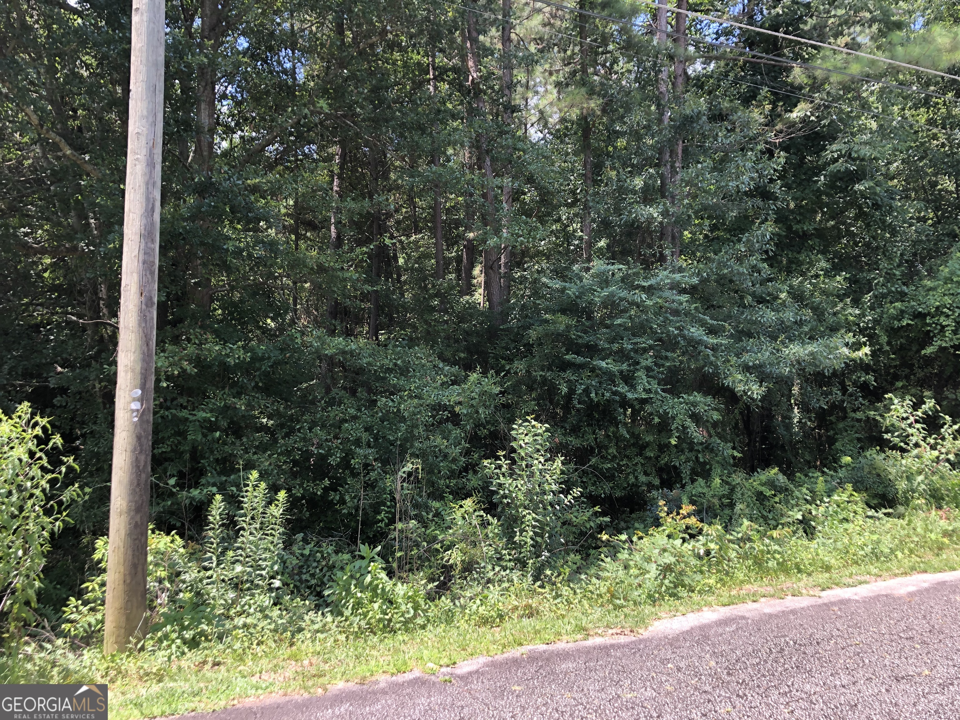 0 Moreland Avenue Toccoa, GA 30577 - Photo 5 of 6