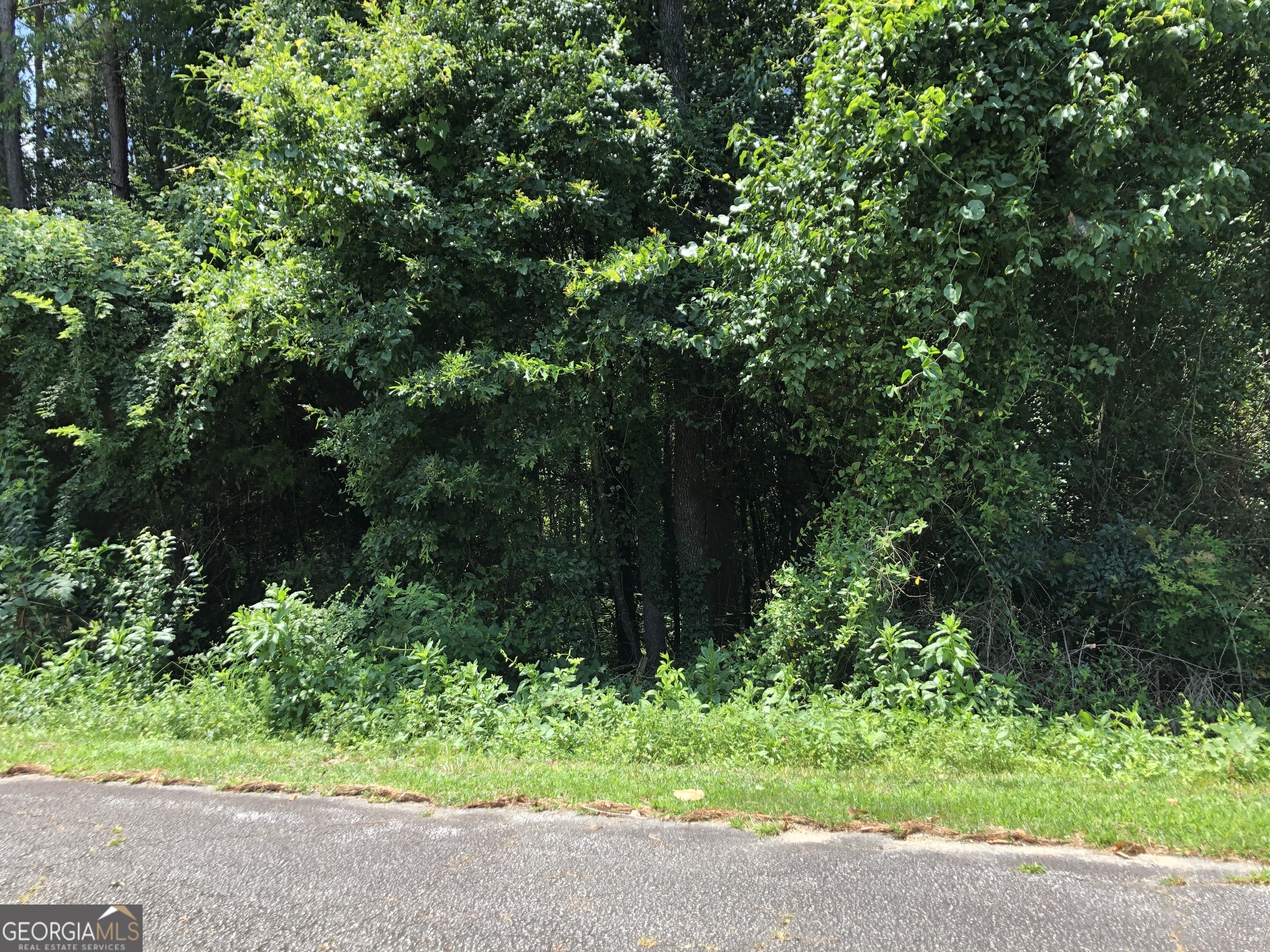 0 Moreland Avenue Toccoa, GA 30577 - Photo 6 of 6