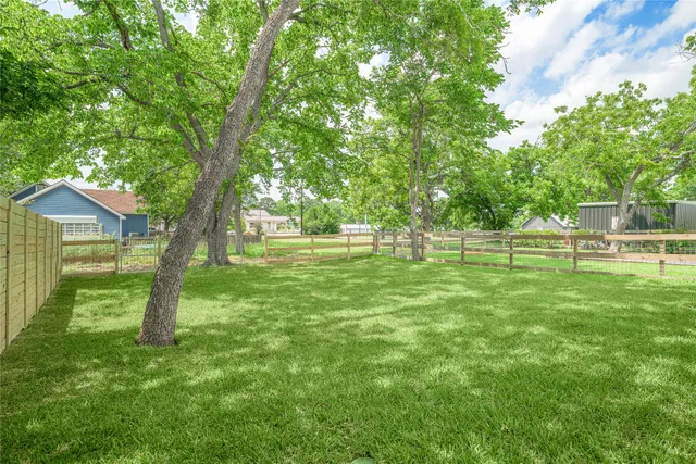 a huge green field with lots of trees
