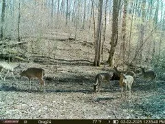 $899,900 | 4220 Will Jackson Road, Cadiz, KY 42211