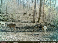 4220 Will Jackson Road Cadiz, KY 42211 - Photo 14 of 14 a view of a outdoor space