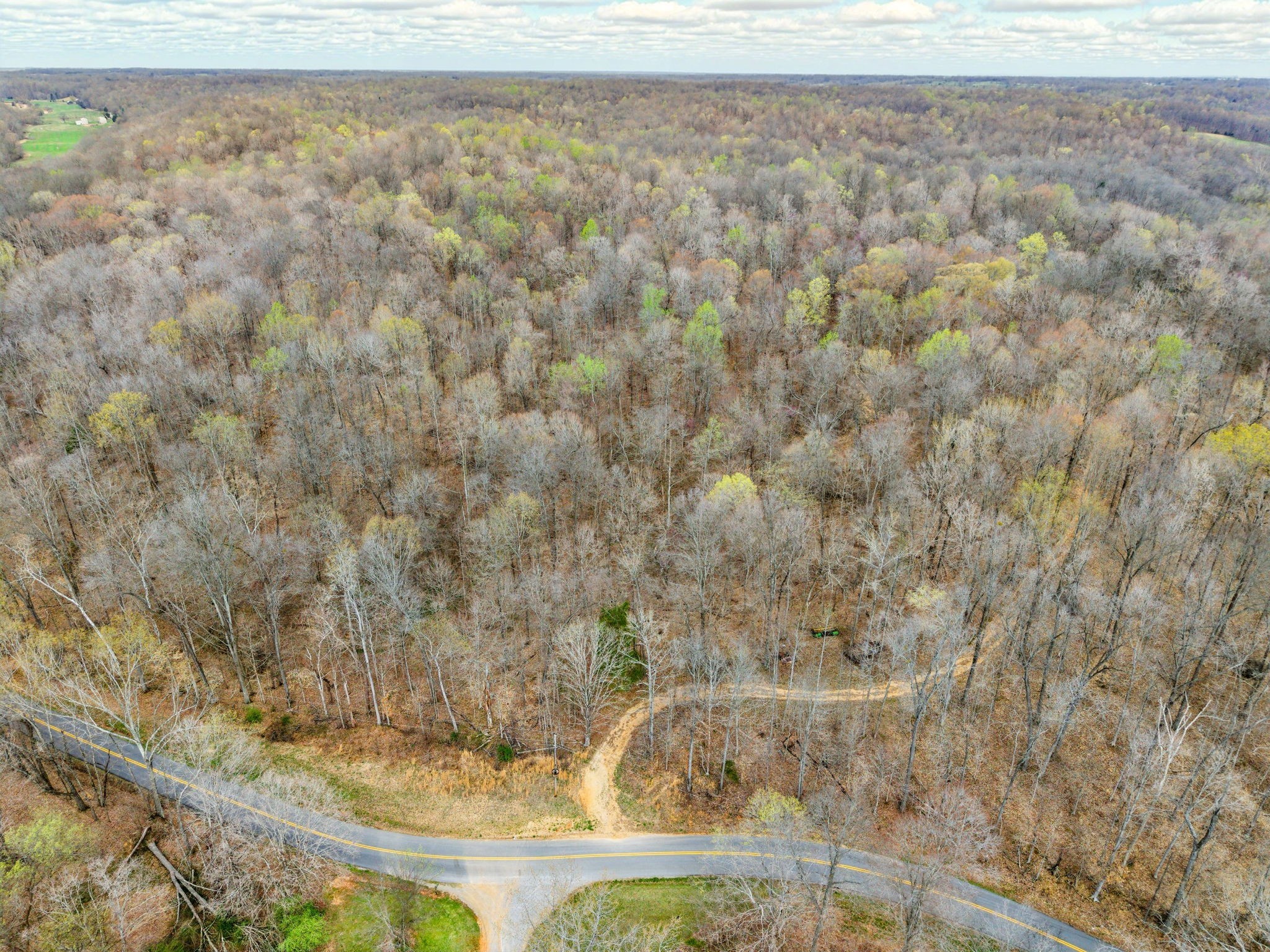 4220 Will Jackson Road Cadiz, KY 42211 - Photo 5 of 14 a view of a yard