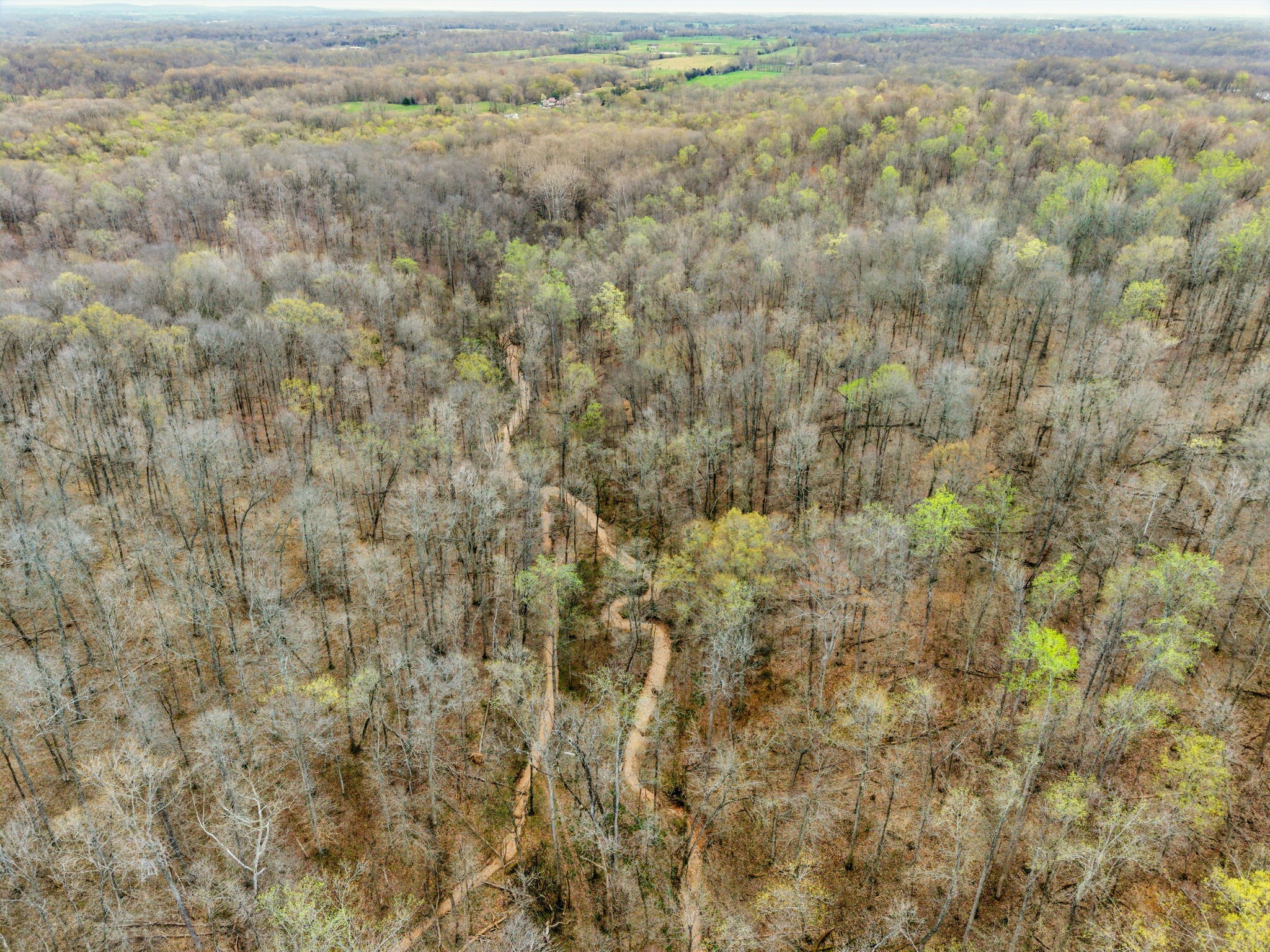 4220 Will Jackson Road Cadiz, KY 42211 - Photo 6 of 14