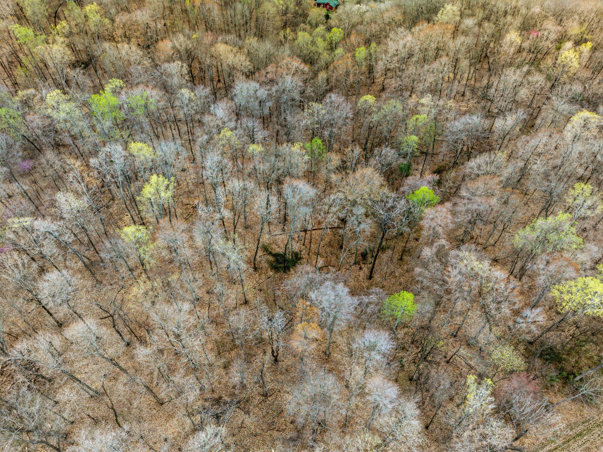 4220 Will Jackson Road Cadiz, KY 42211 - Photo 7 of 14