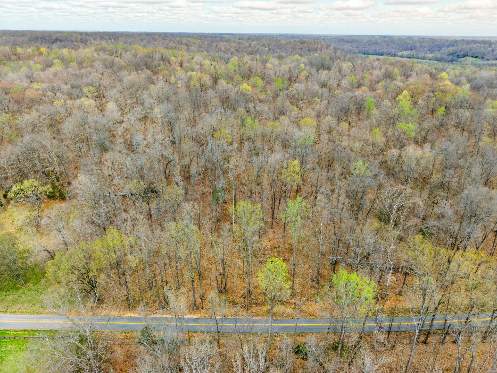 4220 Will Jackson Road Cadiz, KY 42211 - Photo 9 of 14