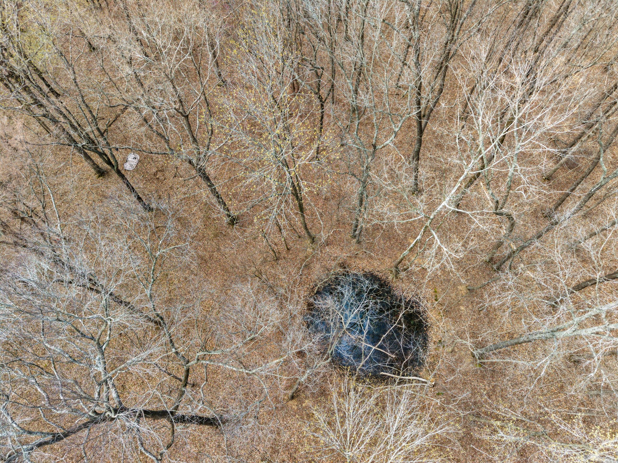 4220 Will Jackson Road Cadiz, KY 42211 - Photo 10 of 14