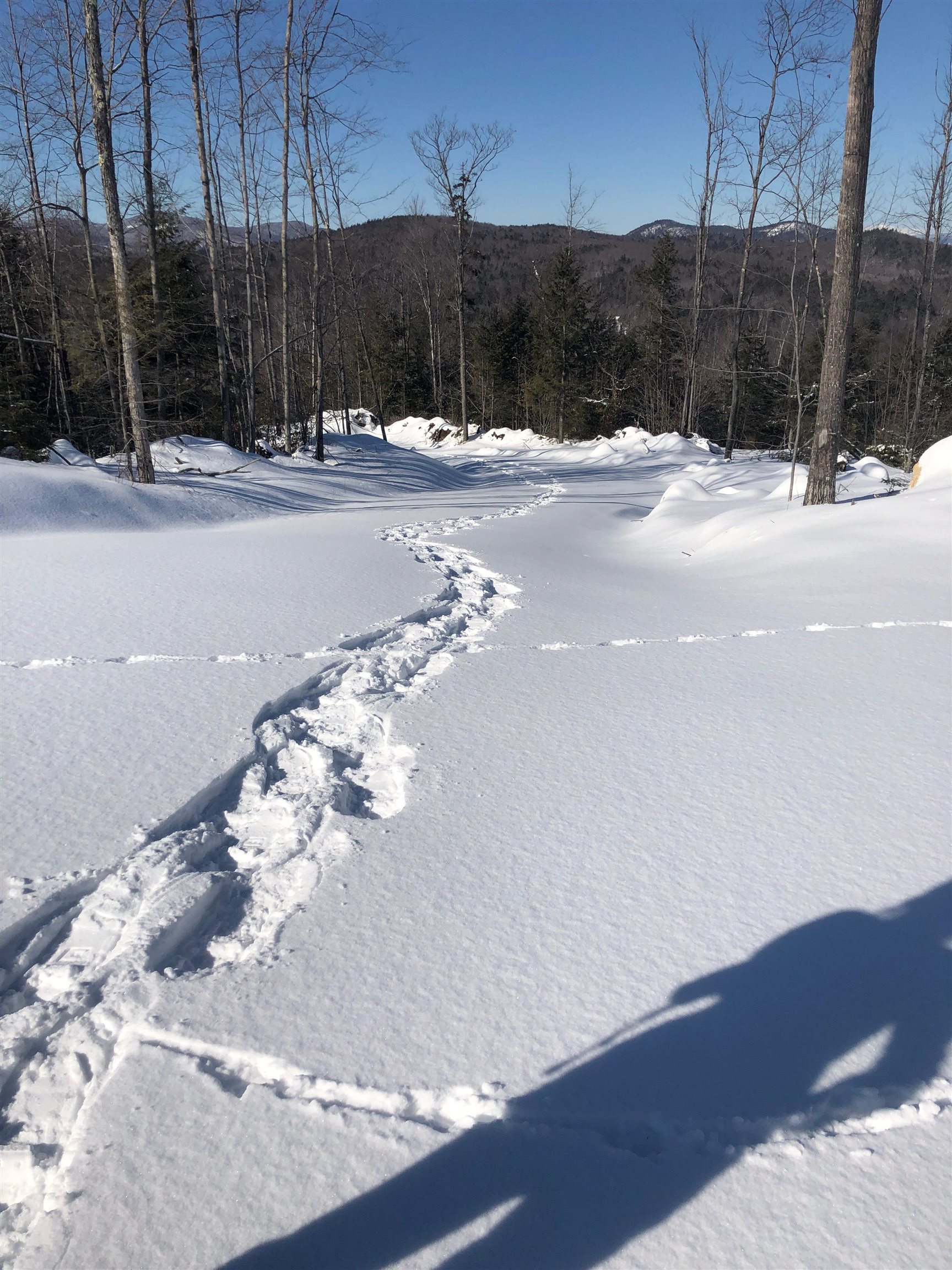 95 Blake Hill Road Ossipee, NH 03814 - Photo 22 of 24