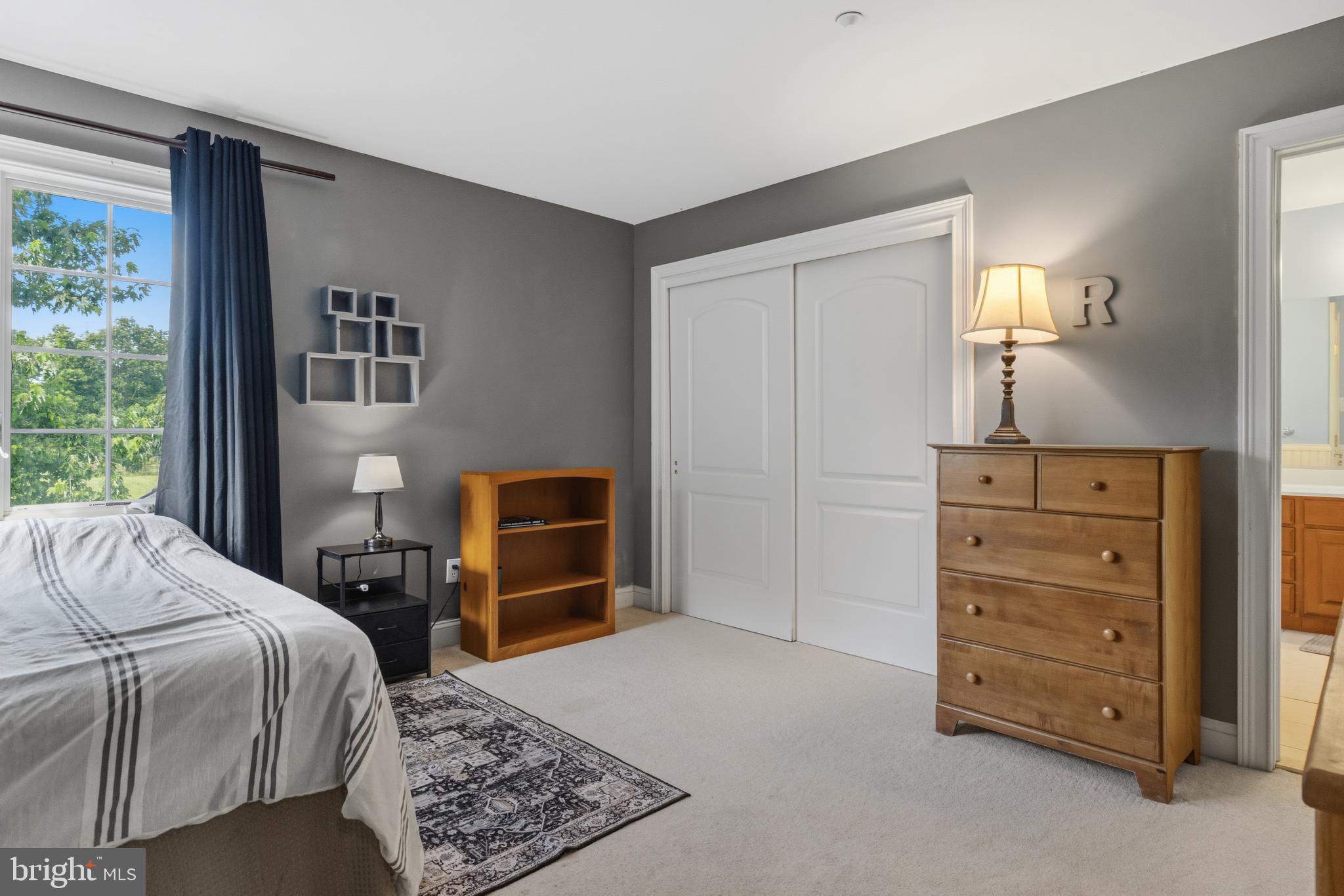 265 Walter Road Chalfont, PA 18914 - Photo 46 of 83 Bedroom with double closet