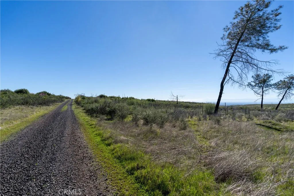 0 Doe Mill Road Chico, CA 95928 - Photo 16 of 62 a view of a lake with a yard