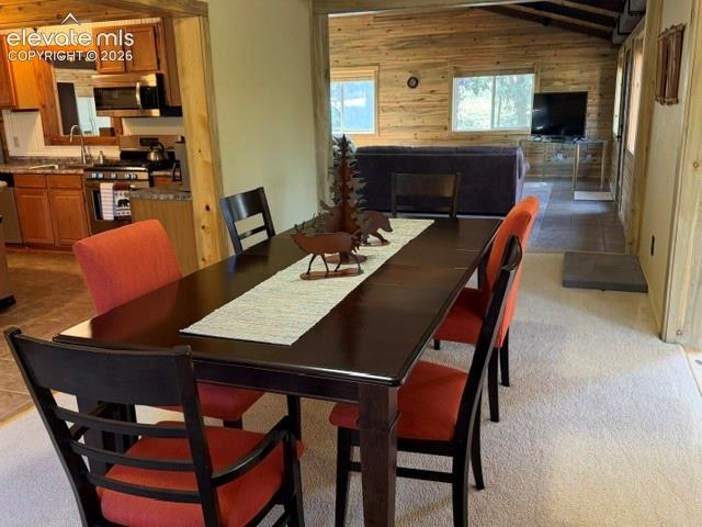 269 Southpark Road Florissant, CO 80816 - Photo 17 of 37