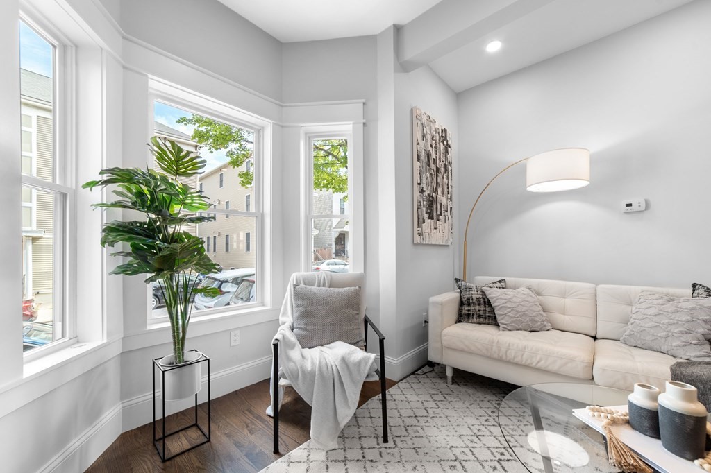 615 East 3rd Street, Unit 1 Boston, MA 02127 - Photo 10 of 42 a living room with furniture and a potted plant