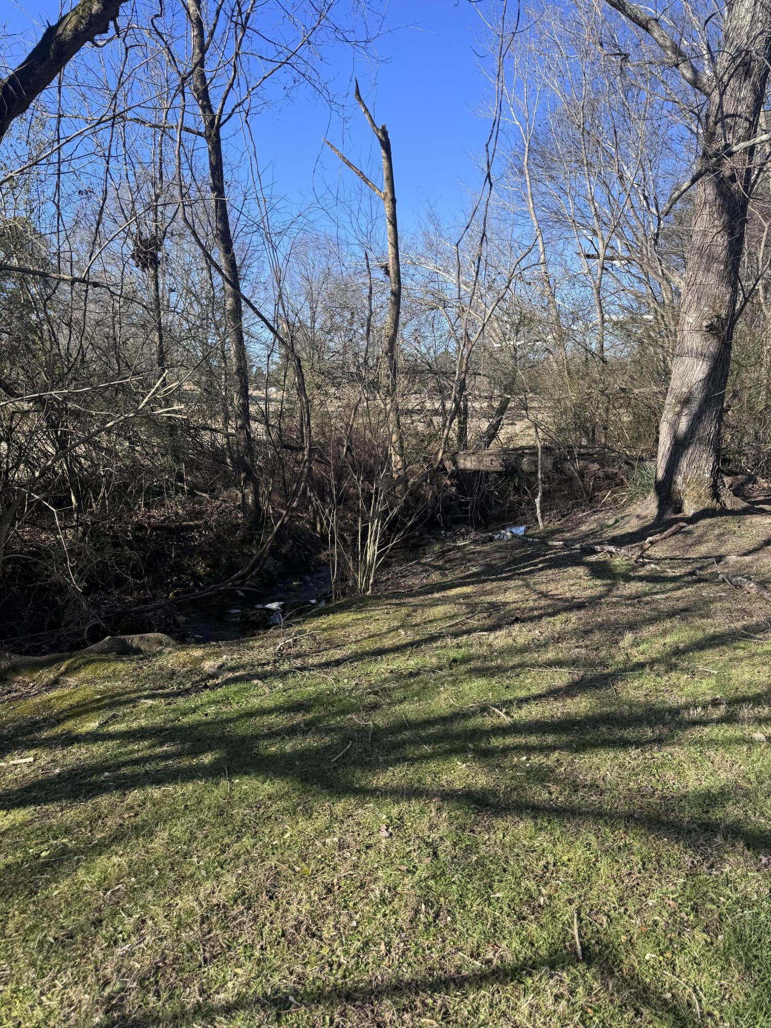 2240 New Street Cleveland, TN 37323 - Photo 3 of 13 IMG_4354