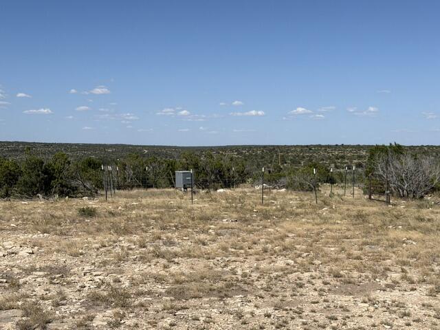 0 High Lonesome Road Comstock, TX 78837 - Photo 9 of 12 IMG_0504