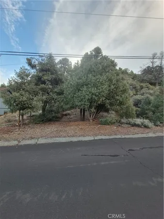a view of a yard
