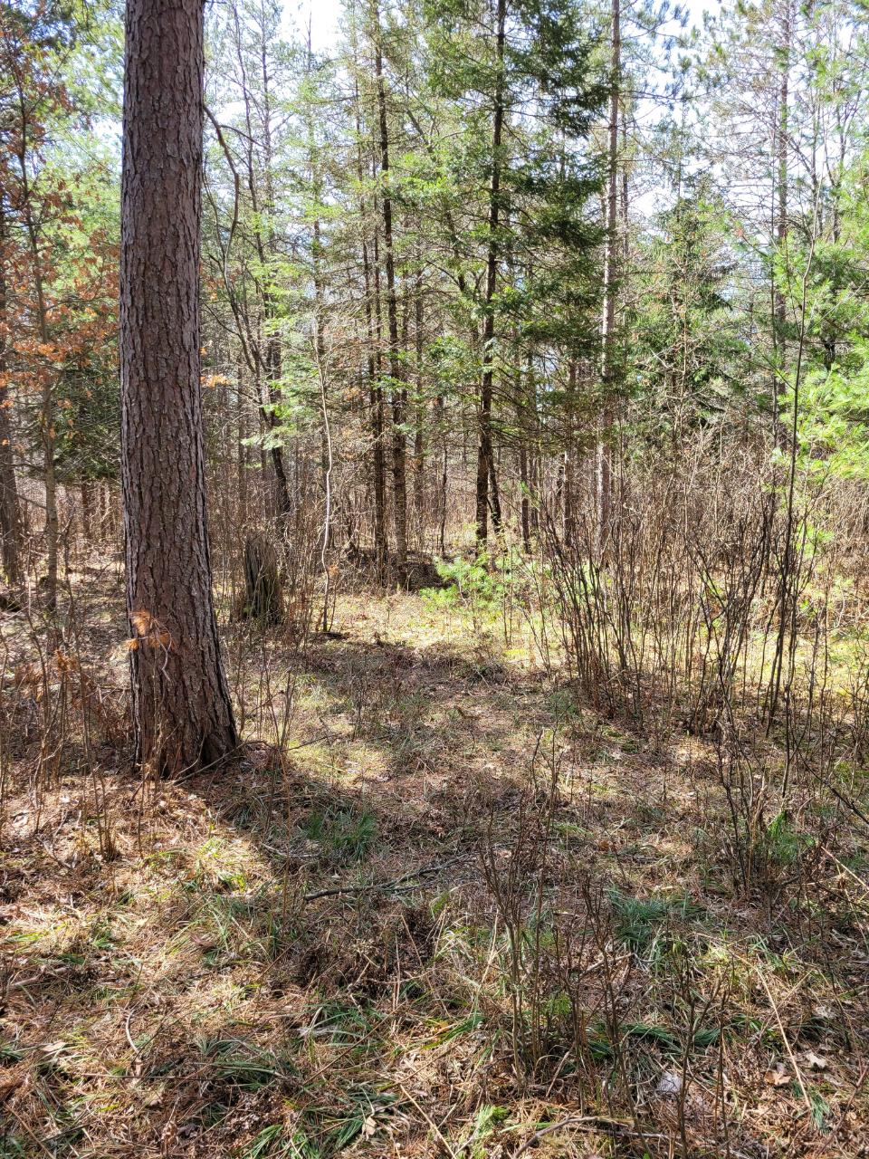 From Denton Road, Unit ACROSS Conover, WI 54519 - Photo 13 of 16 Gallery Image 13