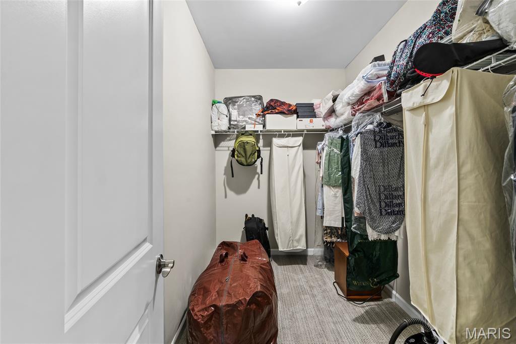 2426 Sunset Ridge Drive Columbia, IL 62236 - Photo 37 of 52