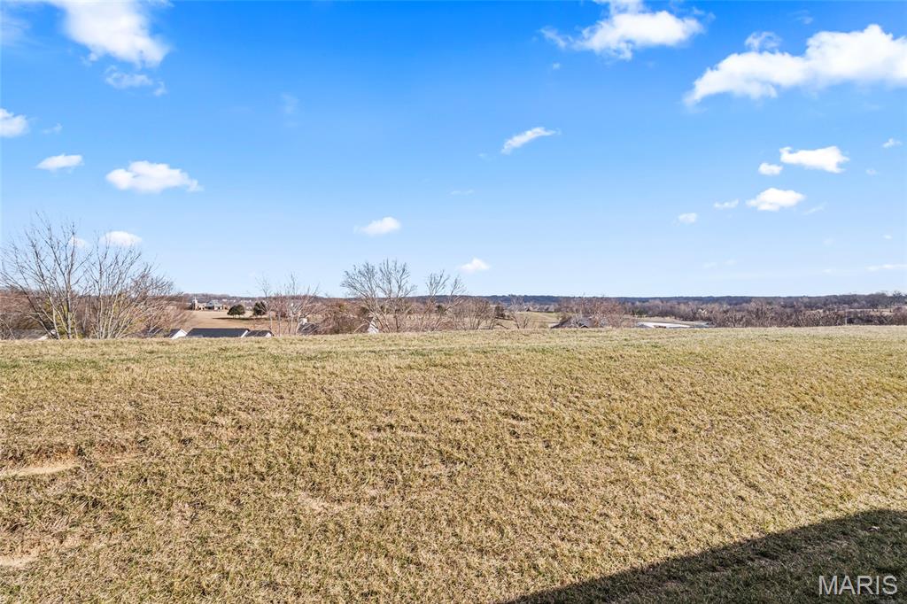 2426 Sunset Ridge Drive Columbia, IL 62236 - Photo 50 of 52