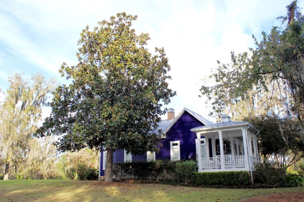 1878 St Thomas Church Road Madison, FL 32340 - Photo 15 of 16