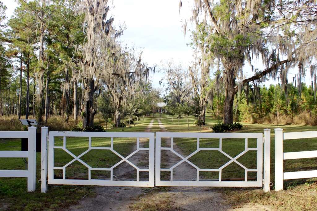 1878 St Thomas Church Road Madison, FL 32340 - Photo 4 of 16