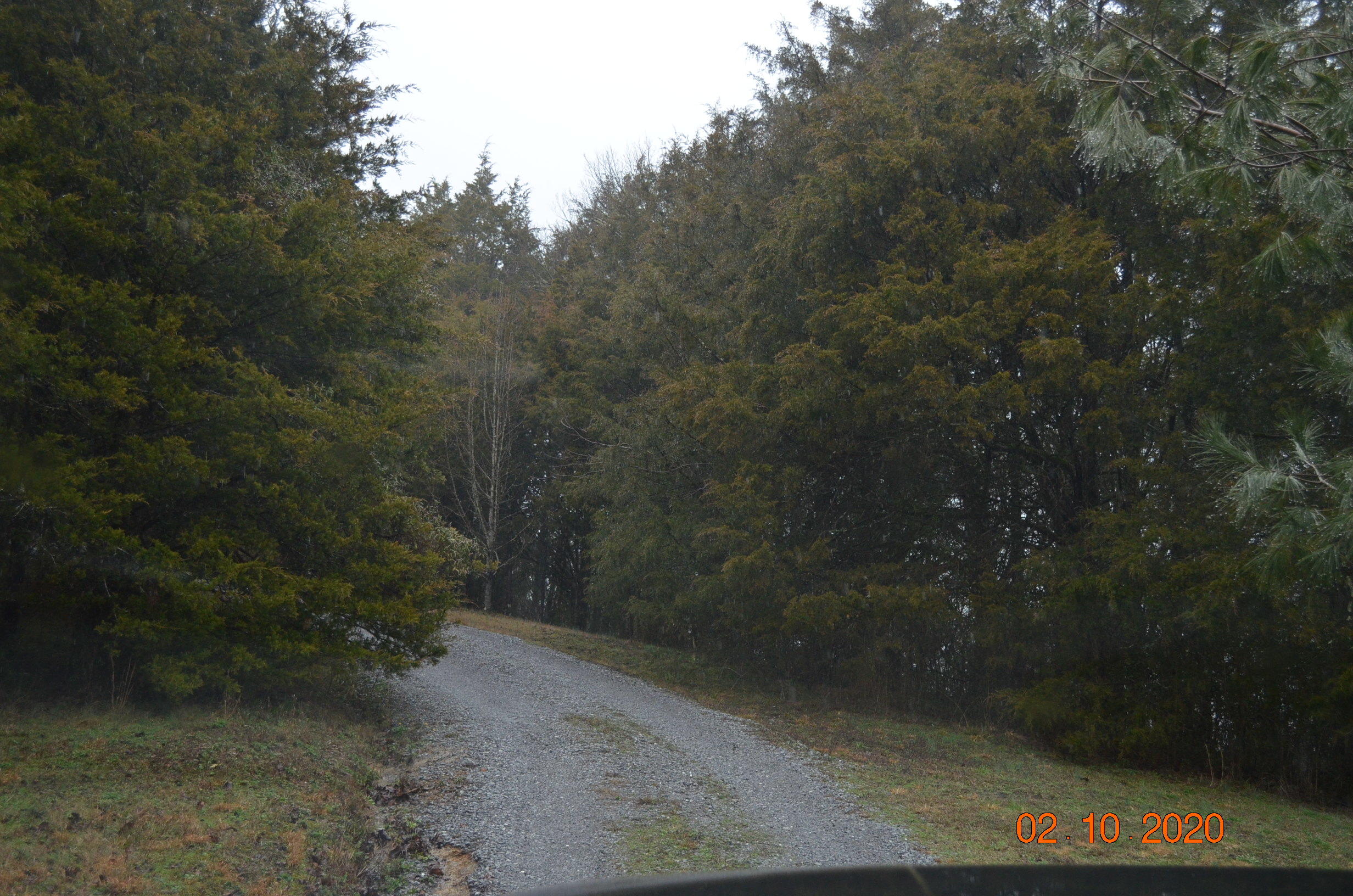 1760 Roaring Fork Road Greeneville, TN 37745 - Photo 2 of 24 DSC_0212