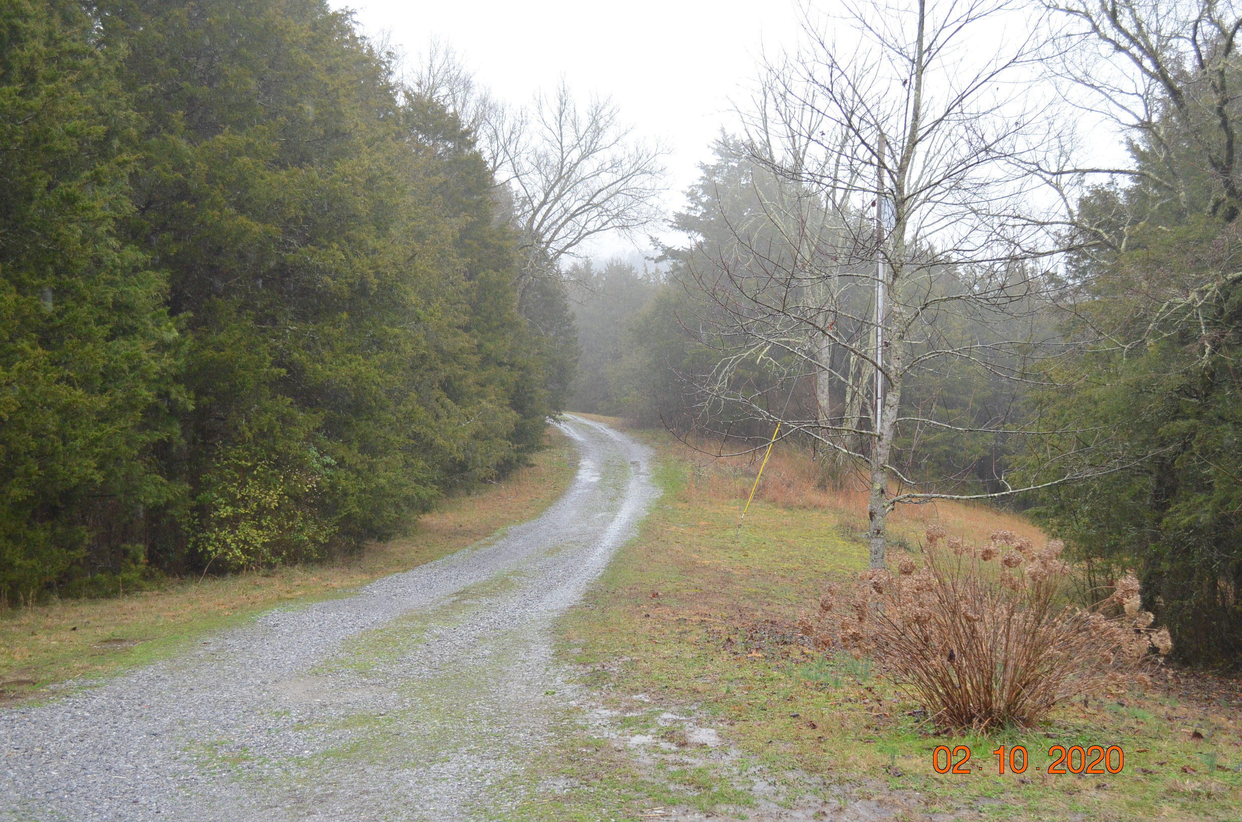 1760 Roaring Fork Road Greeneville, TN 37745 - Photo 22 of 24 DSC_0282
