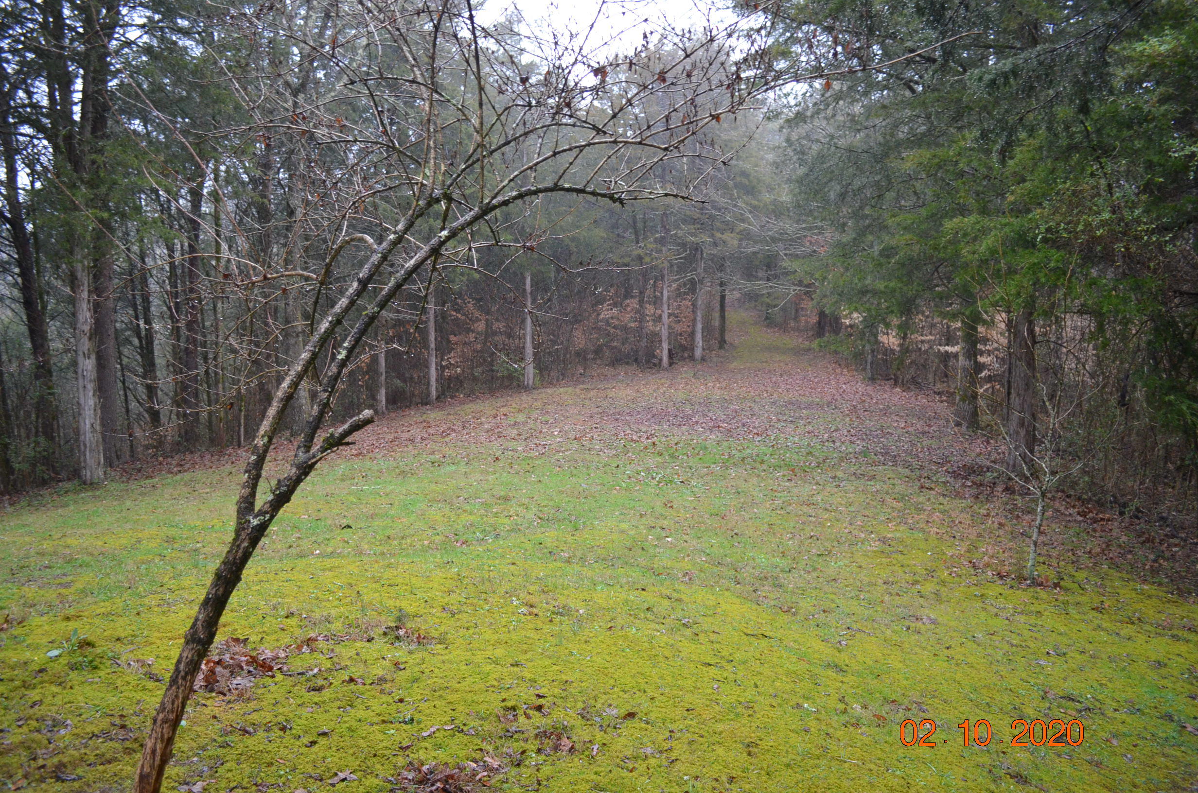 1760 Roaring Fork Road Greeneville, TN 37745 - Photo 7 of 24 DSC_0254