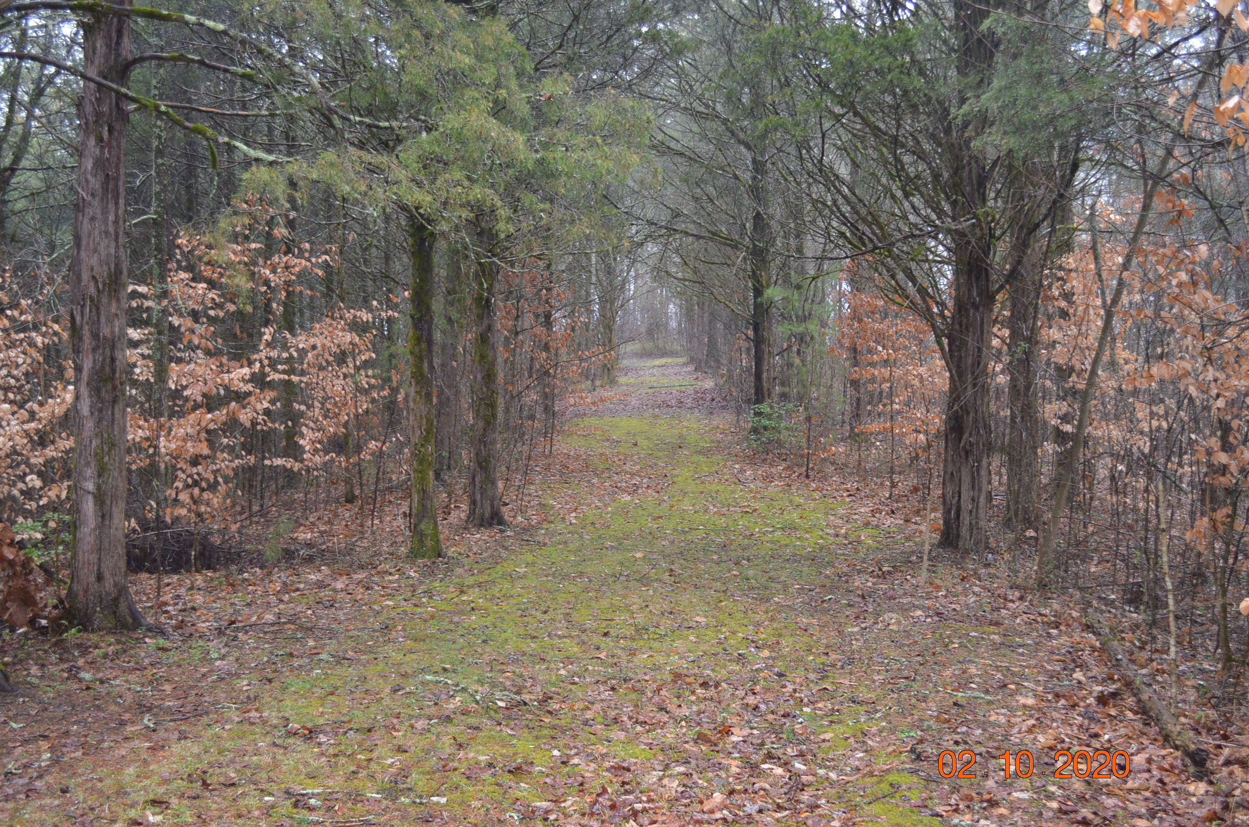 1760 Roaring Fork Road Greeneville, TN 37745 - Photo 8 of 24 DSC_0263