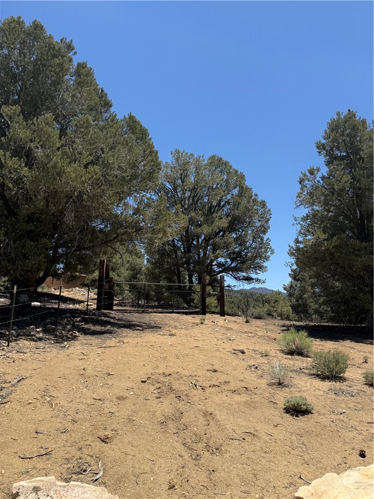 98417 Sierra Meadow Road Kennedy Meadows, CA 93527 - Photo 43 of 48
