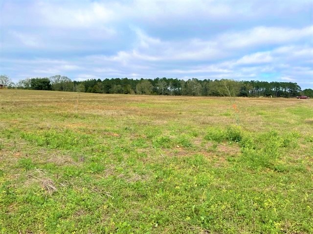 3300 Singletary Road Slocomb, AL 36375 - Photo 3 of 6