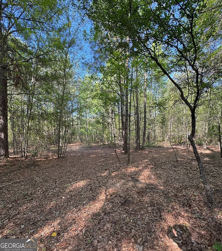 A Middle Ground Road Louisville, GA 30434 - Photo 3 of 4 a view of outdoor space with trees