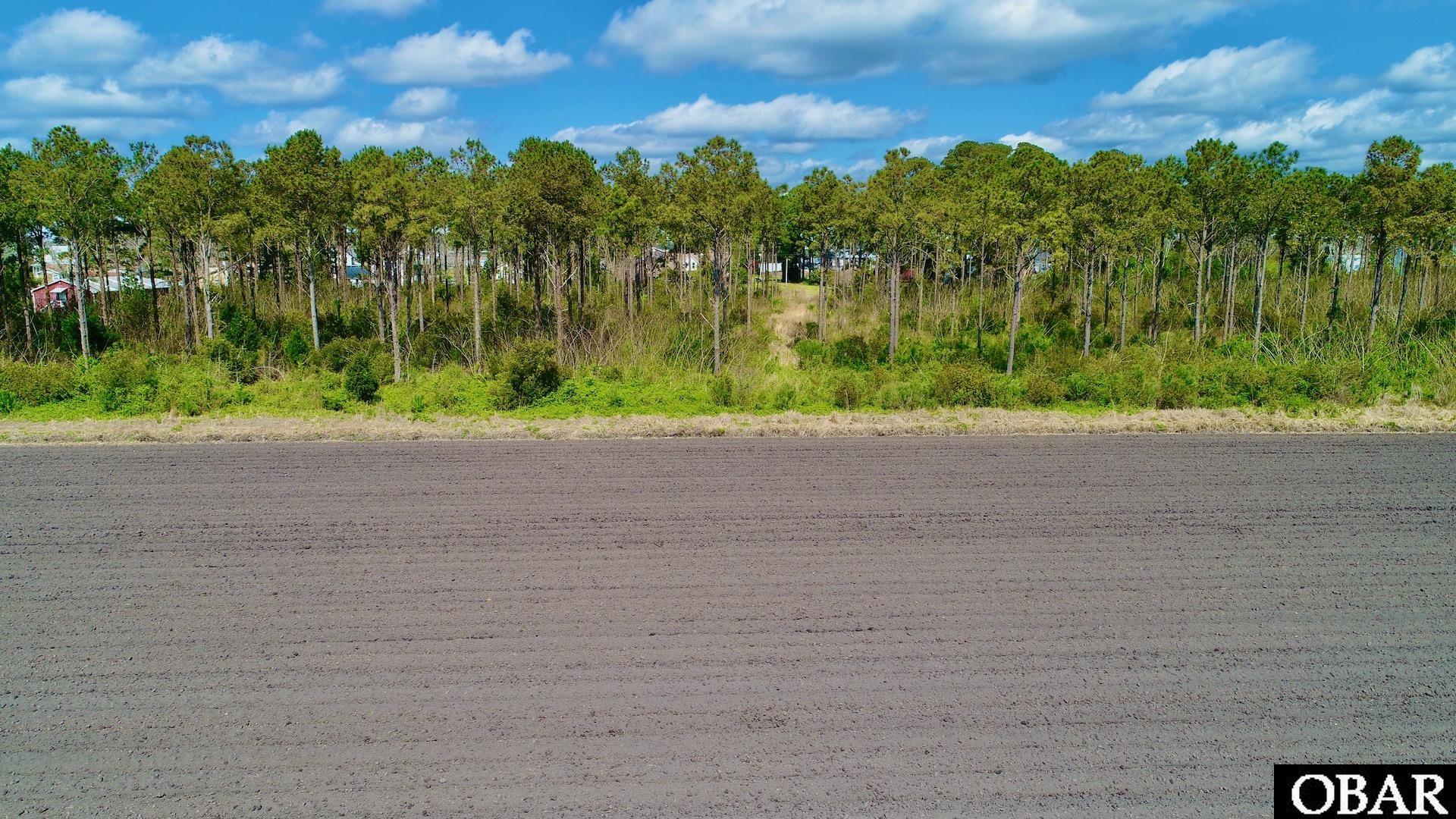 264 Main Street Swan Quarter, NC 27885 - Photo 11 of 48