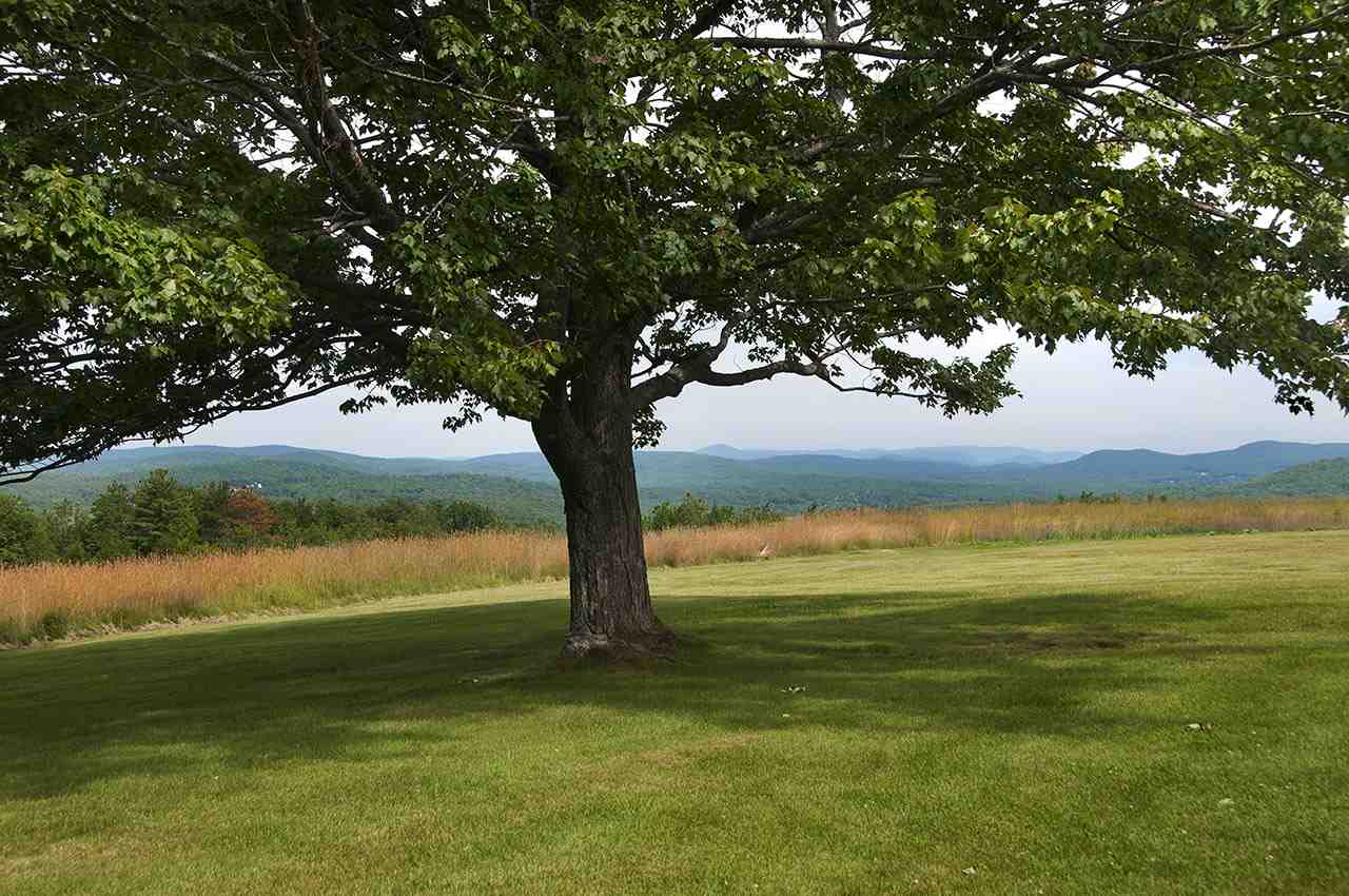 515 Sawmill Road Greenfield, NH 03047 - Photo 3 of 22 Gallery Image 3